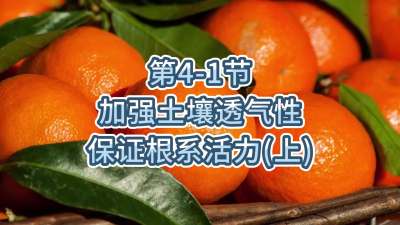 第4-1节-加强土壤透气，保证根系活力