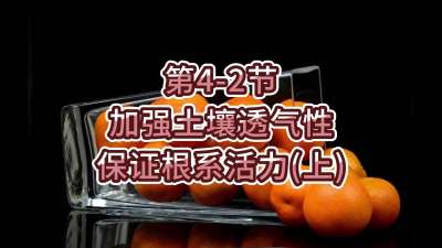 第4-2节-加强土壤透气，保证根系活力