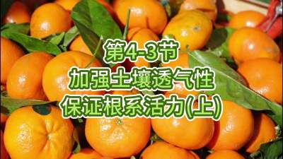 第4-3节-加强土壤透气，保证根系活力