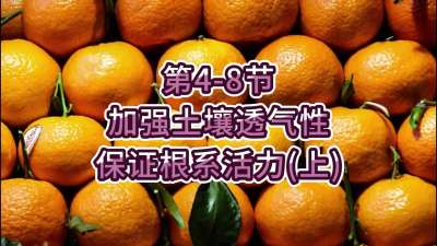 第4-8节-加强土壤透气，保证根系活力