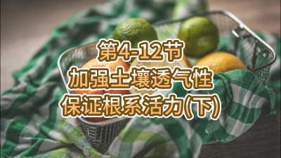 第4-12节-加强土壤透气，保证根系活力