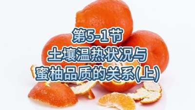 第5-1节-土壤温热状况与蜜柚品质关系