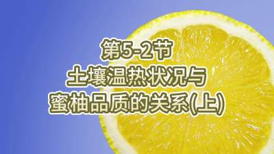 第5-2节-土壤温热状况与蜜柚品质关系