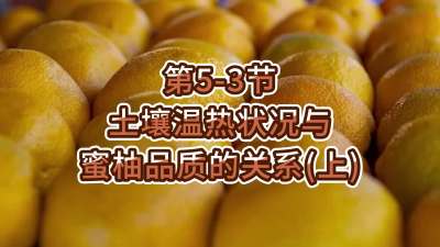 第5-3节-土壤温热状况与蜜柚品质关系