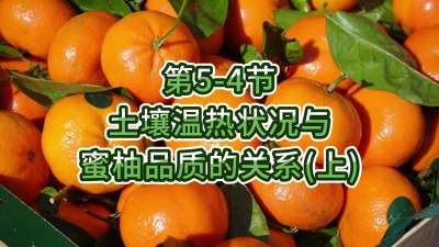 第5-4节-土壤温热状况与蜜柚品质关系