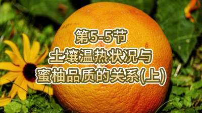 第5-5节-土壤温热状况与蜜柚品质关系