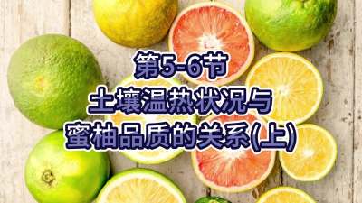 第5-6节-土壤温热状况与蜜柚品质关系