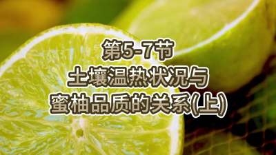 第5-7节-土壤温热状况与蜜柚品质关系