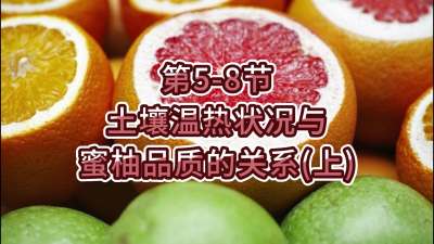 第5-8节-土壤温热状况与蜜柚品质关系