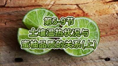 第5-9节-土壤温热状况与蜜柚品质关系