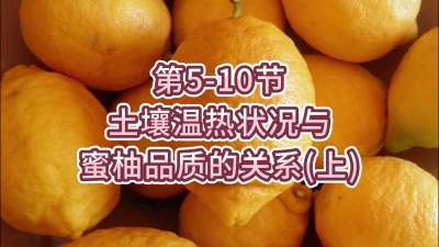 第5-10节-土壤温热状况与蜜柚品质关系