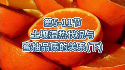 第5-11节-土壤温热状况与蜜柚品质关系