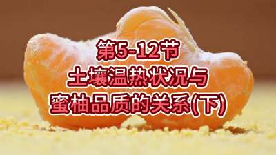 第5-12节-土壤温热状况与蜜柚品质关系