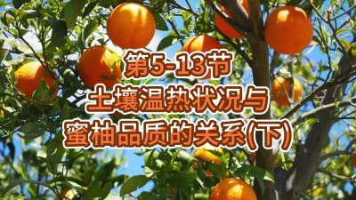 第5-13节-土壤温热状况与蜜柚品质关系