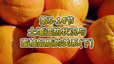 第5-14节-土壤温热状况与蜜柚品质关系