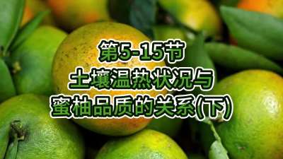 第5-15节-土壤温热状况与蜜柚品质关系