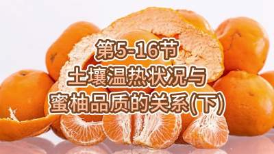 第5-16节-土壤温热状况与蜜柚品质关系