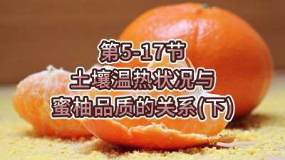 第5-17节-土壤温热状况与蜜柚品质关系
