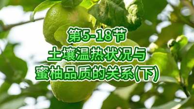 第5-18节-土壤温热状况与蜜柚品质关系