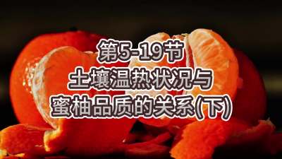 第5-19节-土壤温热状况与蜜柚品质关系