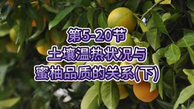 第5-20节-土壤温热状况与蜜柚品质关系