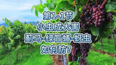 第1-1节-小虫成大害-虫害如何防？