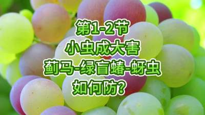 第1-2节-小虫成大害-虫害如何防？