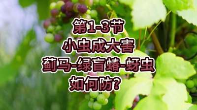 第1-3节-小虫成大害-虫害如何防？