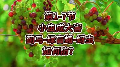 第1-7节-小虫成大害-虫害如何防？