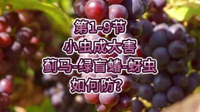 第1-9节-小虫成大害-虫害如何防？
