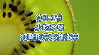 第3-1节-少吃多餐，把畸形芽变健壮芽