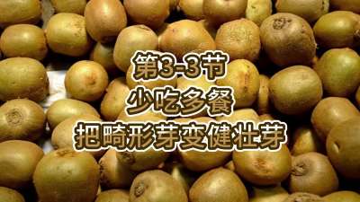 第3-3节-少吃多餐，把畸形芽变健壮芽