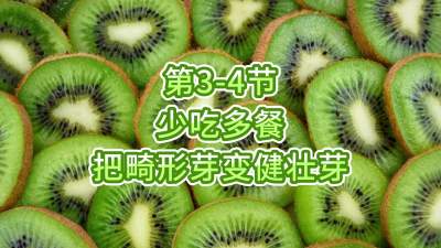 第3-4节-少吃多餐，把畸形芽变健壮芽