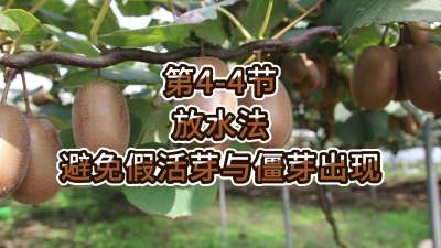 第4-4节-放水法-避免假活芽与僵芽出现