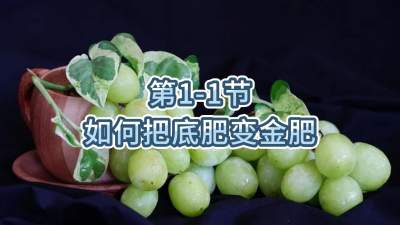 第1-1节-如何把底肥变金肥