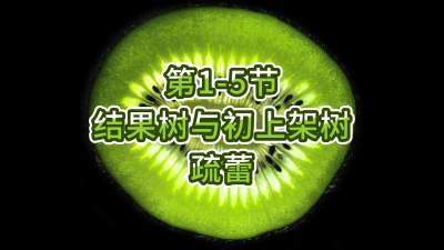 第1-5节-结果树与初上架树的疏蕾