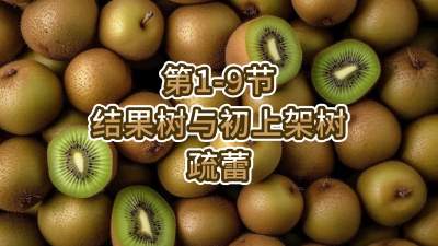 第1-9节-结果树与初上架树的疏蕾