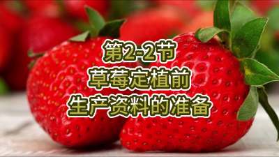 第2-2节-草莓定植前生产资料的准备