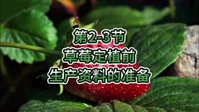 第2-3节-草莓定植前生产资料的准备