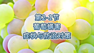 第2-1节-葡萄螨害症状与防治对策