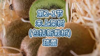 第2-1节-未上架树（包括新栽树）的疏蕾