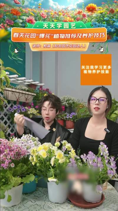 春季爆花植物推荐&mdash;&mdash;朱顶红