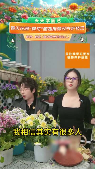 春季爆花推荐&mdash;&mdash;郁金香
