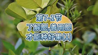 第7-1节-了解肥、善用肥，才能种好果
