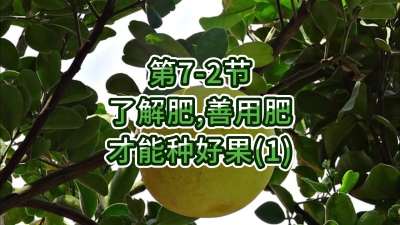 第7-2节-了解肥、善用肥，才能种好果