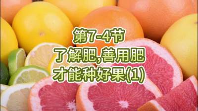 第7-4节-了解肥、善用肥，才能种好果