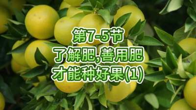 第7-5节-了解肥、善用肥，才能种好果