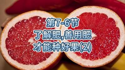 第7-6节-了解肥、善用肥，才能种好果