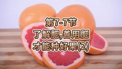 第7-7节-了解肥、善用肥，才能种好果