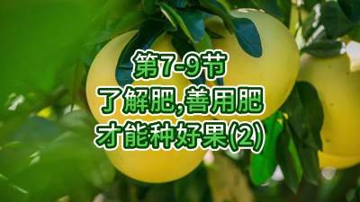 第7-9节-了解肥、善用肥，才能种好果